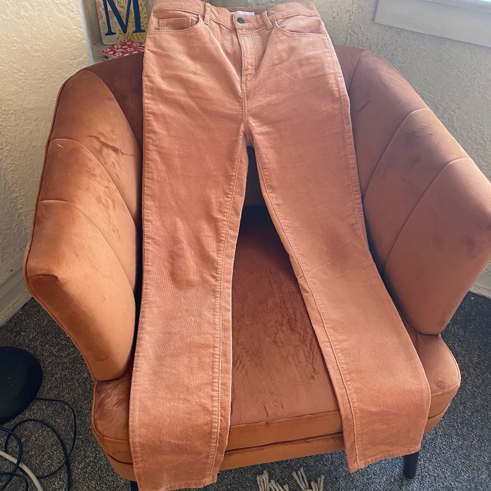 Loft Skinny Corduroy Pants in Sienna